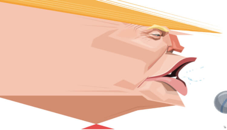 زردک